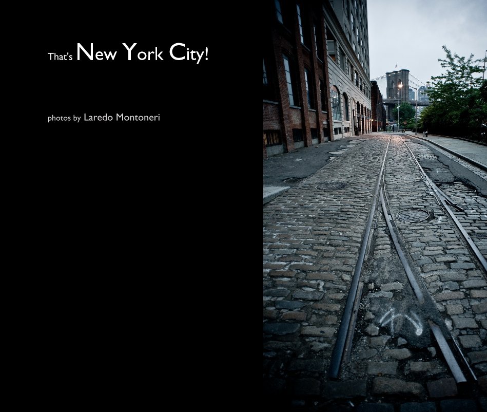 View That's New York City! by Laredo Montoneri