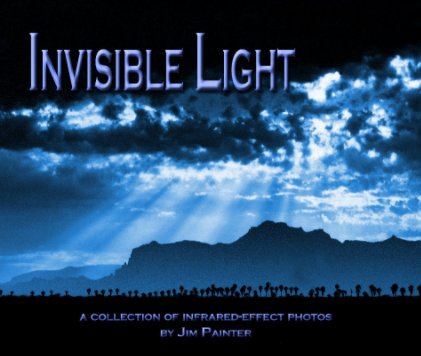 Invisible Light. book cover