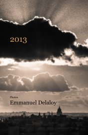 Agenda 2013 - 12 mois book cover