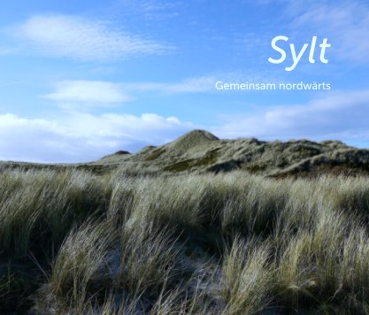 Sylt book cover