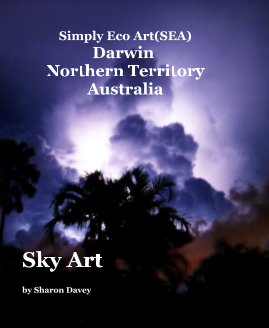 Sky Art book cover