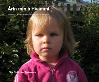 Árin mín á Hvammi book cover