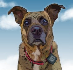 Pet Portraits - Digital book cover