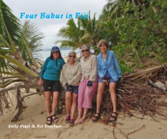 Four Bubus in Fiji book cover