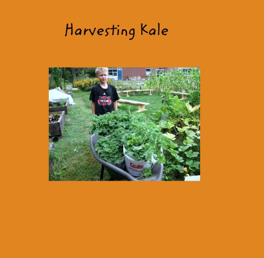 View Harvesting Kale by yarmouthesl