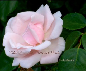The Roses of Millcreek Park book cover