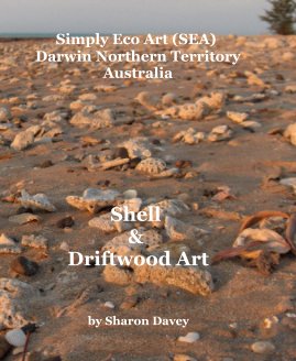 Shell and Driftwood Art book cover