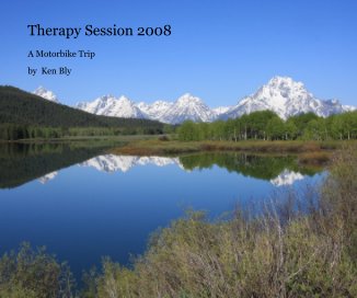 Therapy Session 2008 book cover