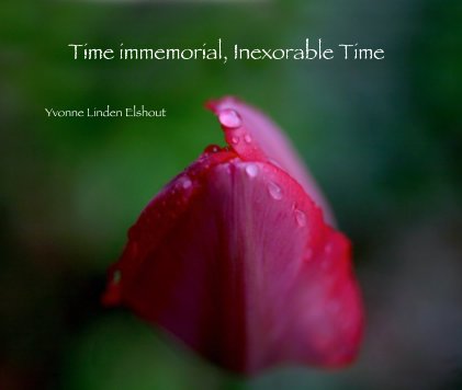 Time immemorial, Inexorable Time book cover