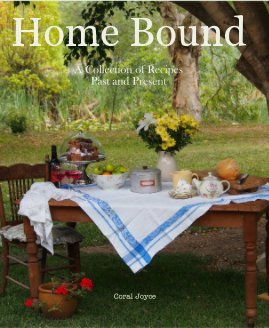 Home Bound book cover