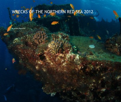 WRECKS OF THE NORTHERN RED SEA 2012 book cover