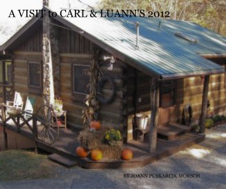 A VISIT to CARL & LUANN'S 2012 book cover