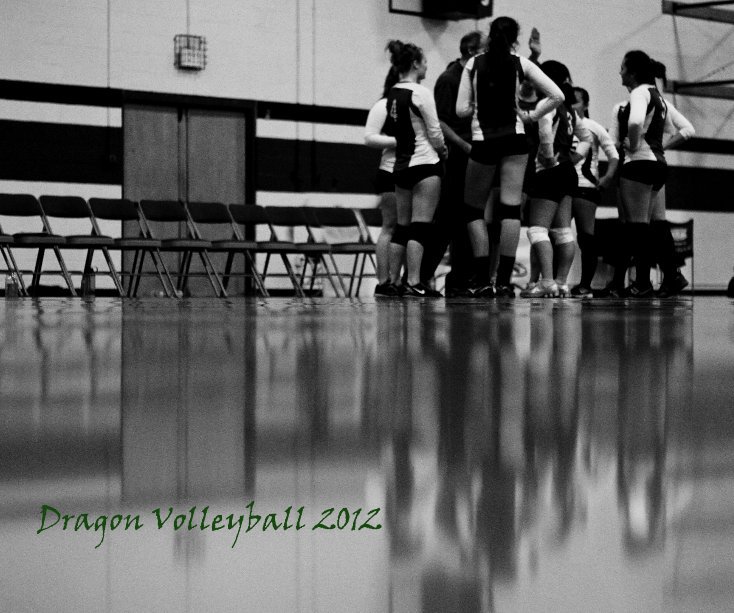 View Dragon Volleyball 2012 by Alan Rothe