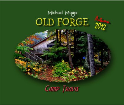 Old Forge book cover