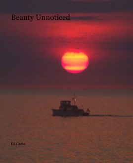Beauty Unnoticed book cover