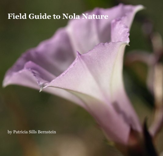 View Field Guide to Nola Nature by Patricia Sills Bernstein