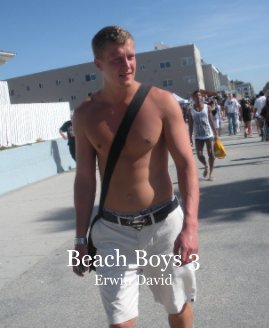 Beach Boys 3 Erwin David book cover
