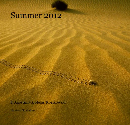 Ver Summer 2012 por Hanford St. Gallery