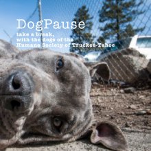 DogPause book cover