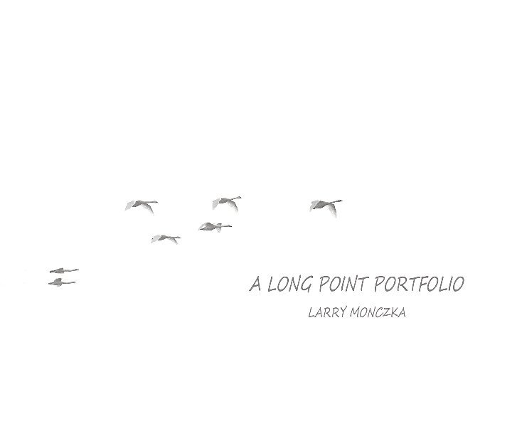 View A LONG POINT PORTFOLIO by Larry Monczka