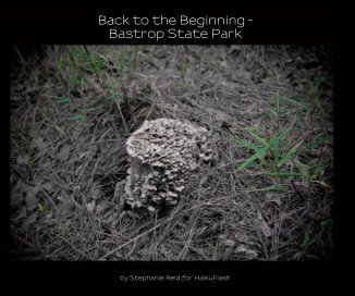 Back to the Beginning - Bastrop State Park (3rd edition), 10x8 book cover