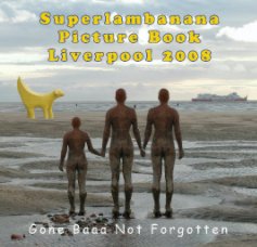 Superlambanana Picture Book book cover