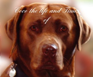 Coco the life and Times of book cover