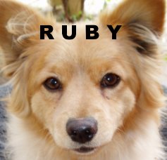 RUBY book cover