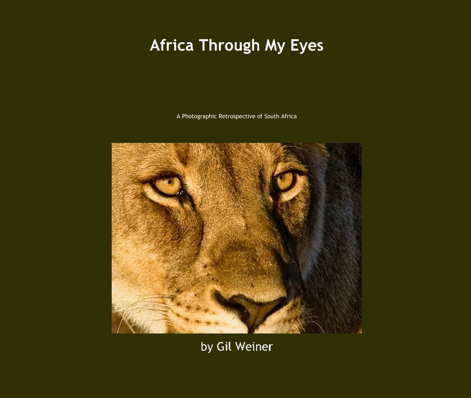 View Africa Through My Eyes by Gil Weiner