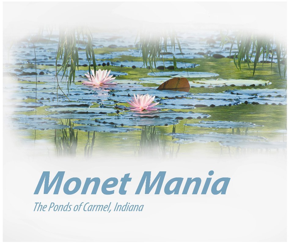 View Monet Mania by Asrar Burney