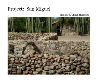 Project: San Miguel book cover