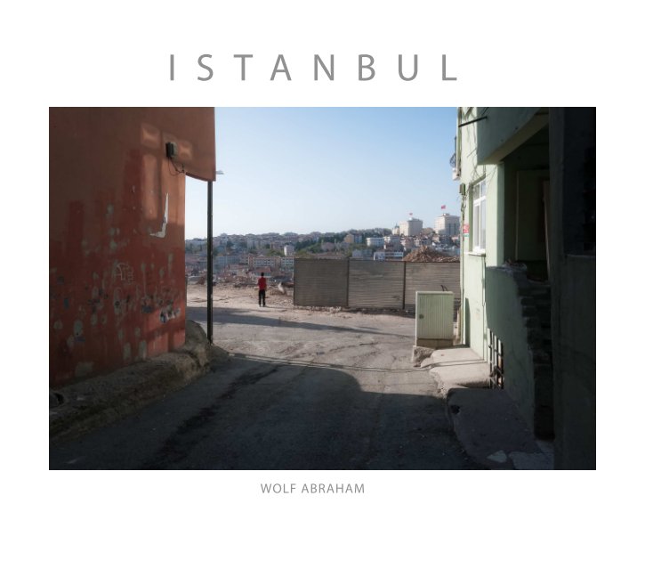 View Istanbul by Wolf Abraham