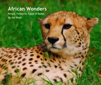 African Wonders book cover