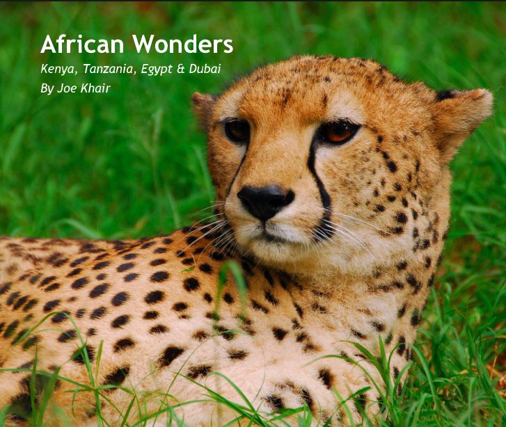 View African Wonders by Joe Khair