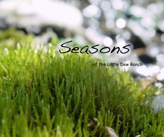 Seasons of the Little Dew Ranch book cover