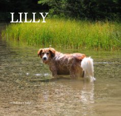 LILLY book cover