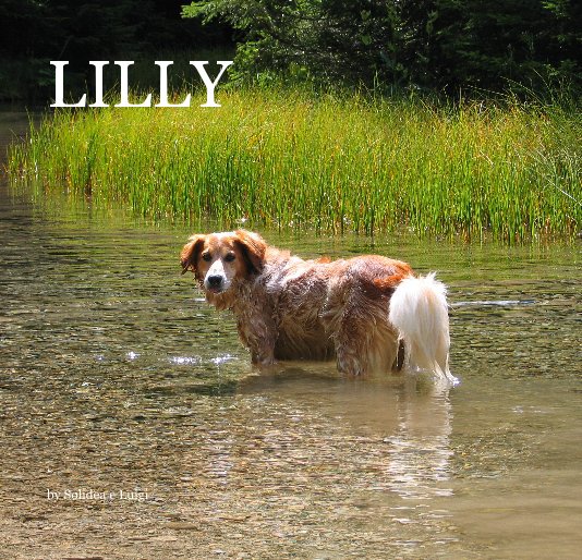 View LILLY by Solidea e Luigi