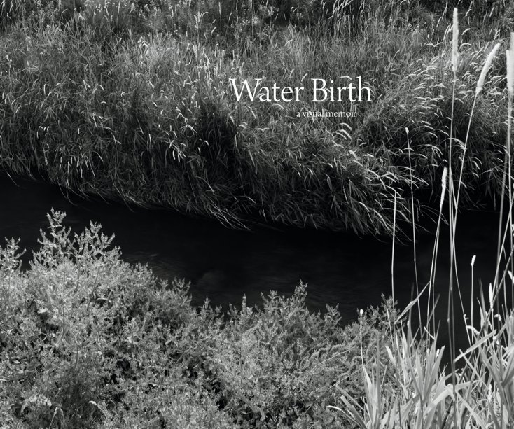 View Water Birth by Copi Vojta