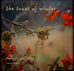 the tones of winter book cover