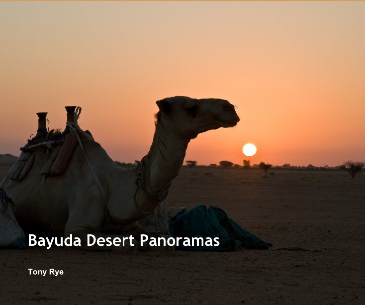 View Bayuda Desert Panoramas by Tony Rye