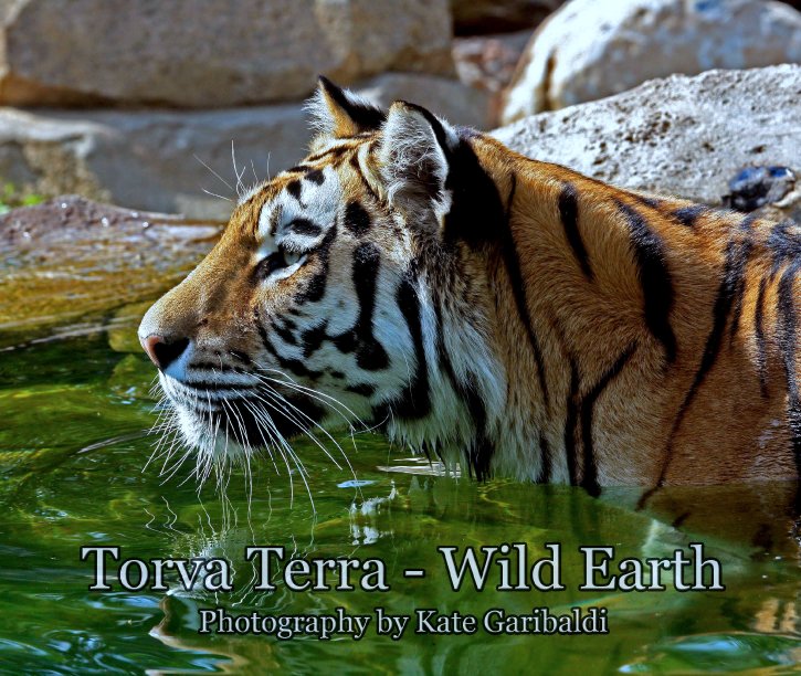 View Torva Terra - Wild Earth by Kate Garibaldi