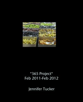 "365 Project" 
Feb 2011-Feb 2012 book cover