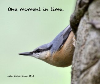 One moment in time. book cover