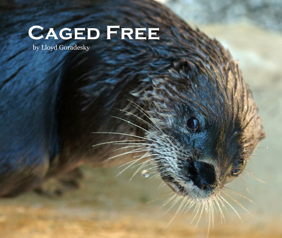 Ver Caged Free por Lloyd Goradesky