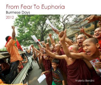 From Fear To Euphoria book cover