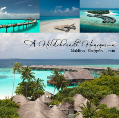 Maldives Honeymoon book cover