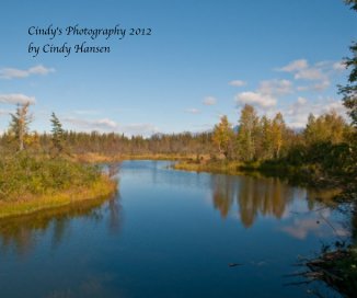 Cindy's Photography 2012 by Cindy Hansen book cover