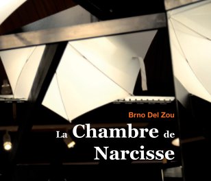 La Chambre de Narcisse book cover