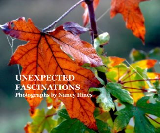 UNEXPECTED FASCINATIONS Photographs by Nancy Hines book cover
