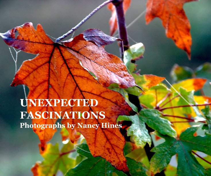 View UNEXPECTED FASCINATIONS Photographs by Nancy Hines by NHines